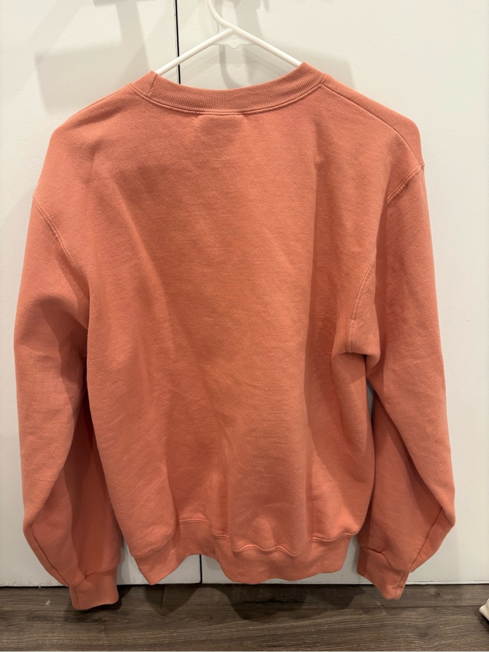 Champion Nantucket Crewneck Sweatshirt in Dusty Coral with White Print - Picture 3 of 3